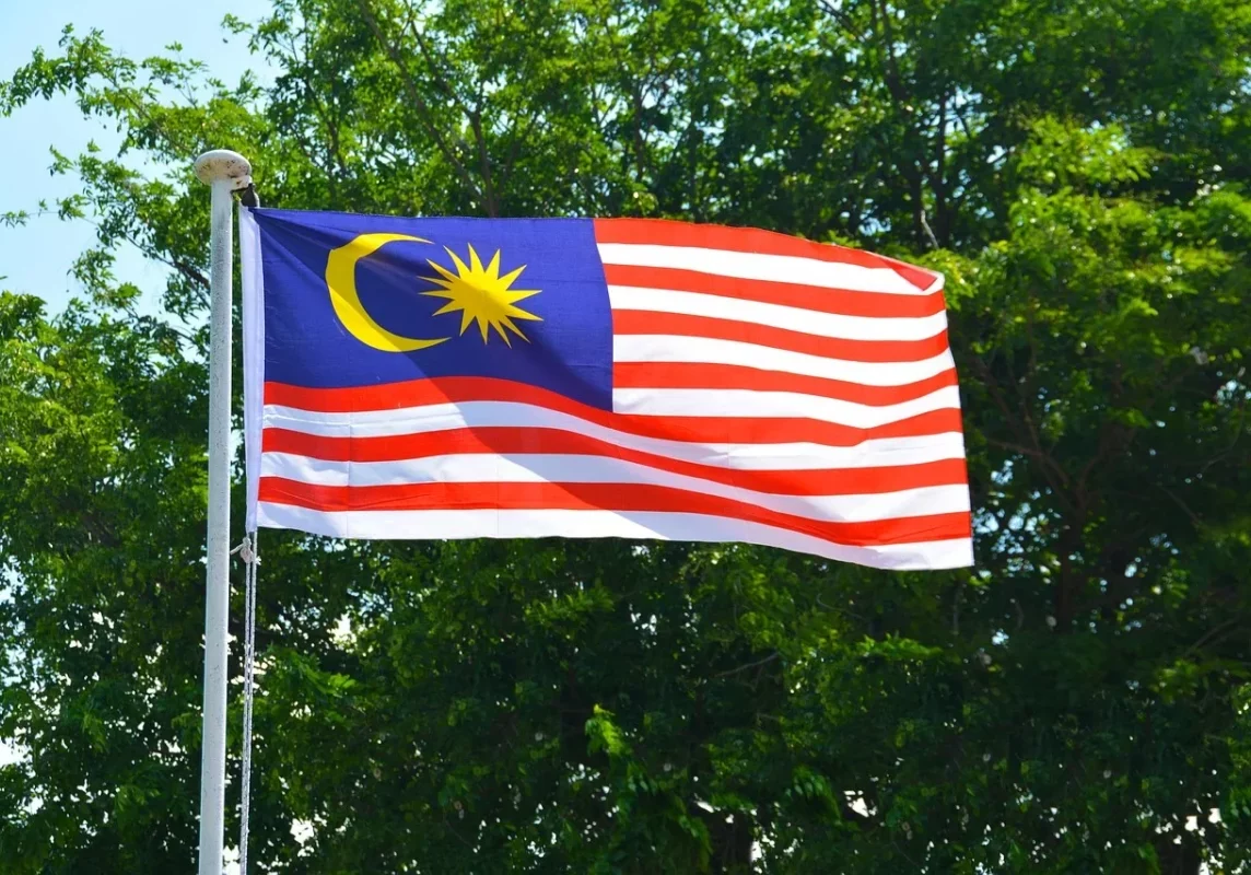 2023_06 Populism, patronage_Malaysian election (1)